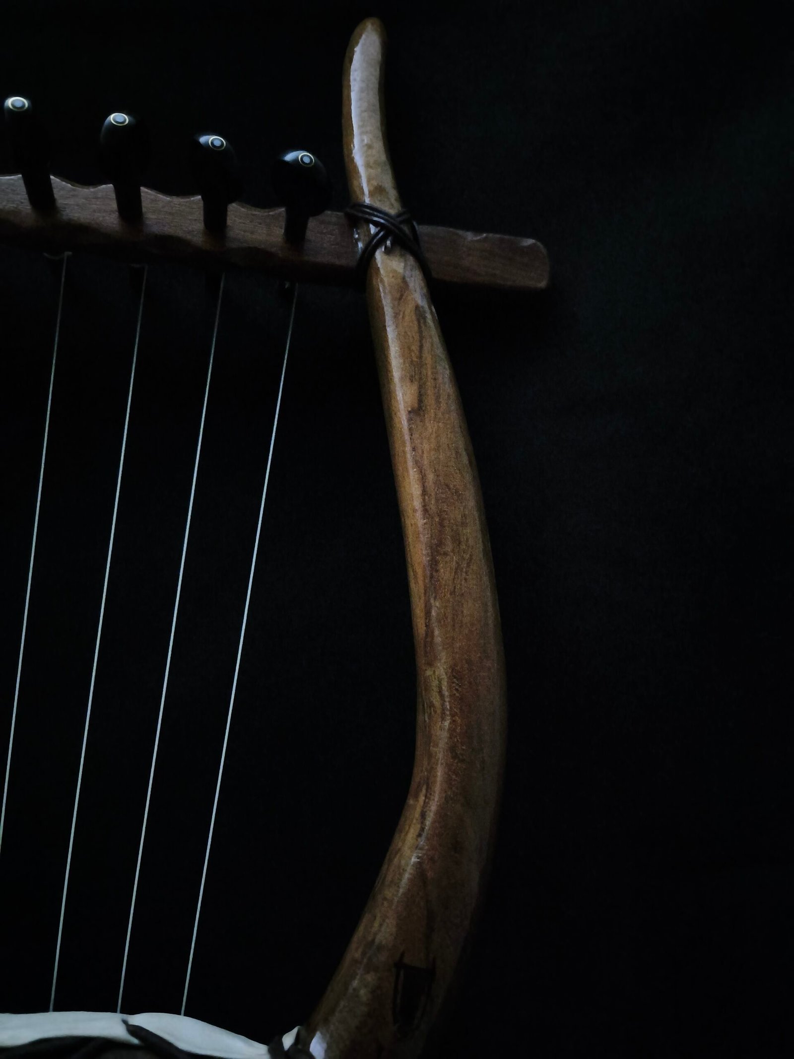 L101F